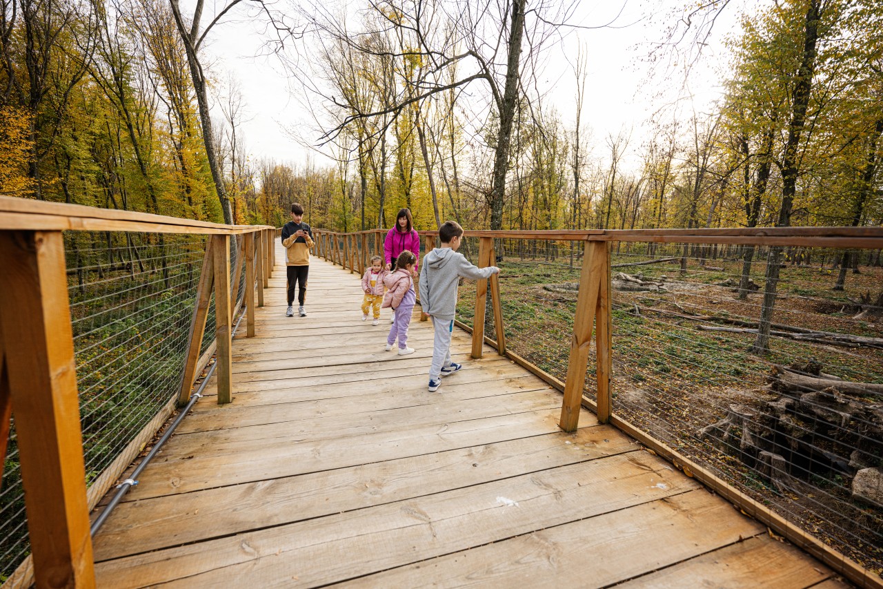 Drayton Plains Nature Center